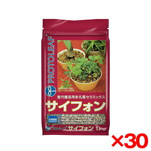 y30Zbgzvg[t TCtH 1L [|pEZ~bN] [J[