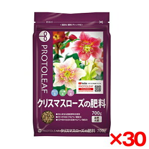 �y30�Z�b�g�z�v���g���[�t �N���X�}�X���[�Y�̔엿 700g ���[�J�[���� xp10n