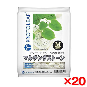 yGg[P5{!1410:00-1623:59z y20Zbgzvg[t }`OXg[M 1kg [ϗtAp] [J[