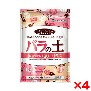 y4Zbgzvg[t oCt Balife o̓y 12L [J[