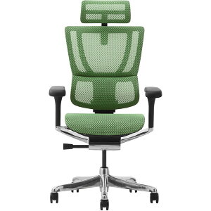 ։Ƌ 454406 Ergohuman FIT2-HAM-DR-BF-GN ubNt[×O[ [ItBX`FA] [J[