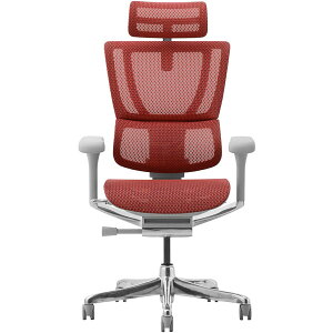 yGg[P5{!1410:00-1623:59z ։Ƌ 454409 Ergohuman FIT2-HAM-DR-GF-RD O[t[×bh [ItBX`FA] [J[