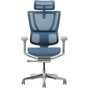 ։Ƌ 454410 Ergohuman FIT2-HAM-DR-GF-BL O[t[×u[ [ItBX`FA] [J[