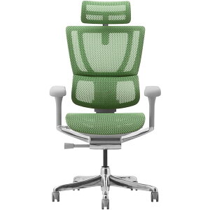 �։Ƌ� 454411 Ergohuman FIT2-HAM-DR-GF-GN �O���[�t�t���[��×�O���[�� [�I�t�B�X�`�F�A] ���[�J�[����