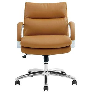 ։Ƌ 456302 Og LBR [^Cv PU CguE [ItBX`FA] [J[