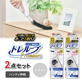 【2個セット】LEC 激落ちくんトレループプレミアムハンディ伸縮グレー
