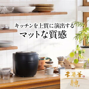 MITSUBISHI NJ-BW10H-B Y {Y  [IHъ (5.5)]