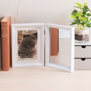 Nakabayashi F-TW-117-W zCg &tHgt[ [2 2L]