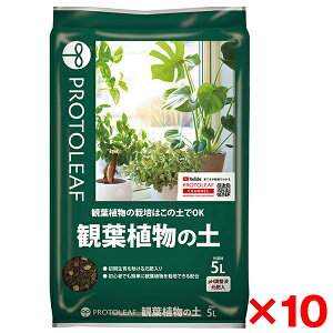 yGg[P5{!1410:00-1623:59z y10Zbgzvg[t ϗtA̓y 5L [J[