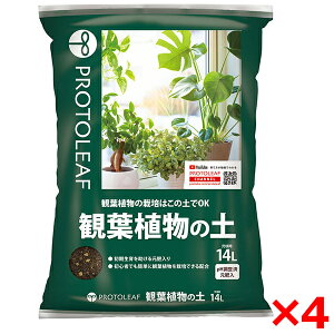 yGg[P5{!1410:00-1623:59z y4Zbgzvg[t ϗtA̓y 14L [J[