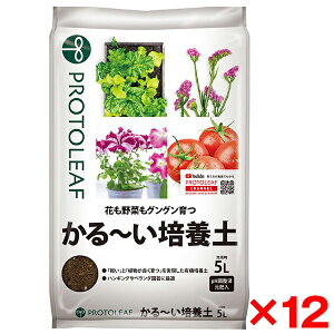 y12Zbgzvg[t `|{y 5L [J[