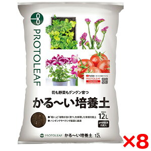 y8Zbgzvg[t `|{y 12L [J[