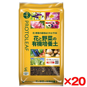 y20Zbgzvg[t ԂƖ؂̗L@|{y 2L [J[