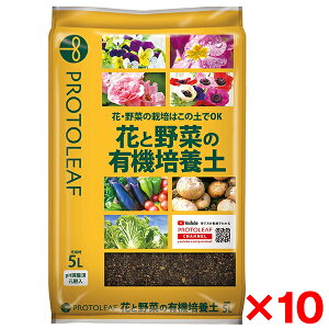 y10Zbgzvg[t ԂƖ؂̗L@|{y 5L [J[