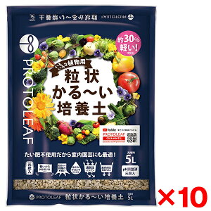 y10Zbgzvg[t 󂩂`|{y 5L [J[