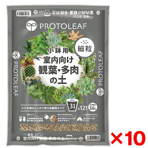 y10Zbgzvg[t ϗtE̓y ח (p) 3.6L [J[