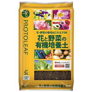 vg[t ԂƖ؂̗L@|{y 5L