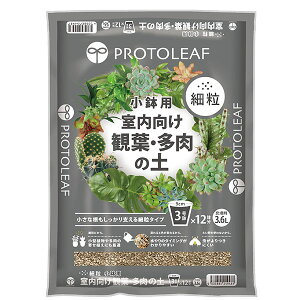 vg[t ϗtE̓y ח (p) 3.6L