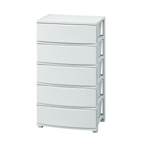 ACXI[} CLN-545 u[O[ [Ch`FXg 5i] [J[