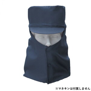 Ka 10012 nږXq MTCY lCr[(1) SOWA