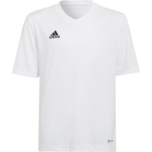 ADIDAS AfB_X TbJ[EGA Entrada 22 W[W[ zCg J130 MBE20 HC5054