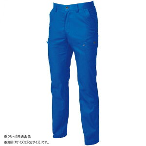 �yGW����N�[�|�����s��!5/2-6�z �K�a 3048-08 �J�[�S�p���c GL�T�C�Y �u���[(8)