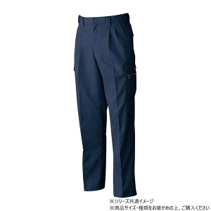 Ka 6118 c[^bNJ[Spc 100TCY lCr[(1)