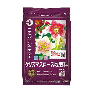 �v���g���[�t �N���X�}�X���[�Y�̔엿 700g xp10n