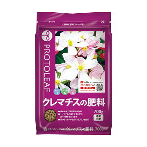 �v���g���[�t �N���}�`�X�̔엿 700g xp10n