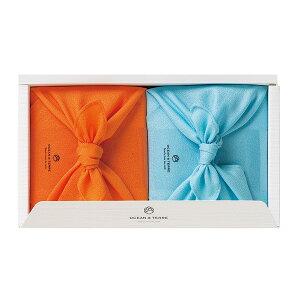 OCEAN&TERRE TSUTSUMI ݂т̑fZbgC A459 [J[