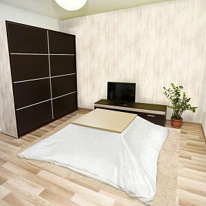 �����J�o�[ �R�E�C���X ��|���J�o�[ �r�j�[���J�o�[ ����h�~ �ۉ� �f�M �����` �ߓd �g���� �����΍� �h�� ���n �V���v�� V�N���A�[ �R�E�B���X������|���J�o�[ 190cm×240cm ���r���O �g