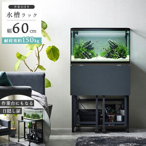 yGg[P5{!1410:00-1623:59z ╍ IWS-336DG _[NOC [ (60cmp)] [J[