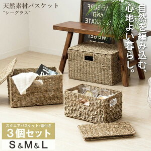 ╍ IW-45NA VRfރoXPbg V[OX XNGA3Zbg (ӂt) S/M/L [J[