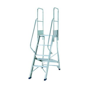 sJR[|CV DWSTE3B [DWSpKi肷] [J[