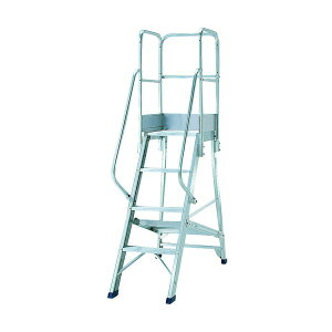 sJR[|CV DWSTE4B [DWSpKi肷VO] [J[