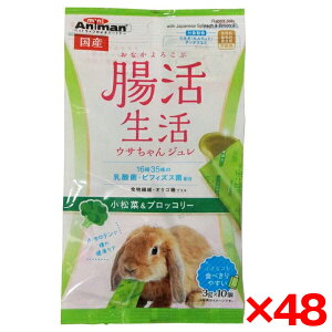 �y48�Z�b�g�z�h�M�[�}�� �������� �E�T�����W���� ������&�u���b�R���[3g×10�� ���[�J�[����