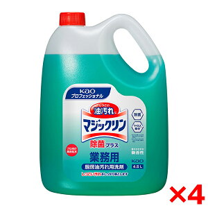 y4Zbgzԉ }WbN ۃvX Ɩp 4.5L