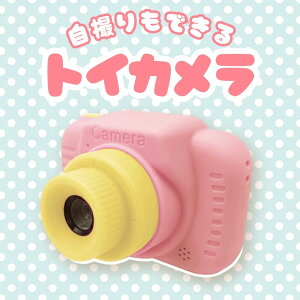 FlashTalent LbYJ sN qp gCJ fW^J fWJ Q[ 800f qǂ ̎q 킢  30 Be NX}X a v[g KY1025