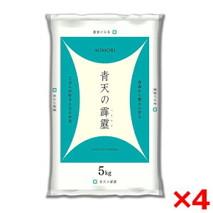 ߘaNxYV XY V 20kg(5kg×4) [J[