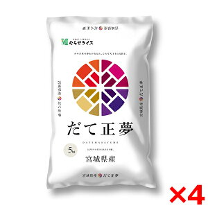 ߘaNxYV {錧Y Đ 20kg(5kg×4) [J[