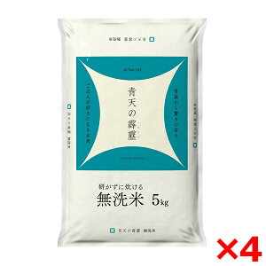 ߘaNxYV  XY V 20kg(5kg×4) [J[