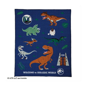  4995018800 WVbNE[h _Ci[}bg fXNJ[ybg