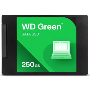 SANDISK WDS250G5G0A WD Green SATA [Xg[W (SSD 2.5C` 250GB 7mmP[X)]