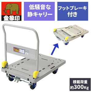 �󍁍H�� �����L�����[ �u���[�L�t NP-300DXL