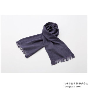 �݂₴���^�I�� �����}�t���[ �V�[�Y�� 160cm×34cm No.5 �v�����p�[�v��