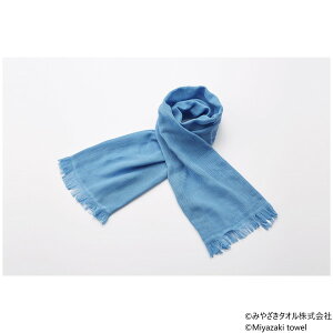 �݂₴���^�I�� �����}�t���[ �V�[�Y�� 160cm×34cm No.10 �A�N�A�u���[