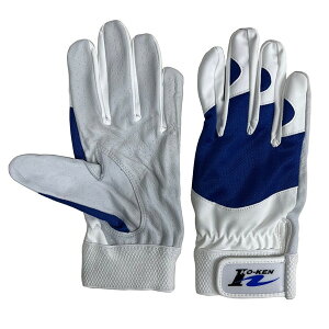 �������Y�f�� AS255 �u���[ L �G�A���V�[�v [���]