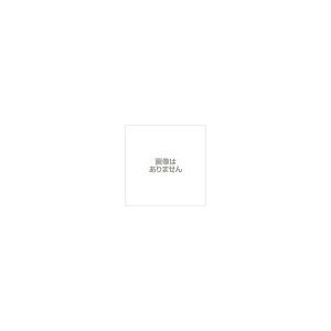�ۊ�����{�� S-3100-50 [�I�[���X�e�����X�g���d�ʎ� (50mm V�^)] ���[�J�[����