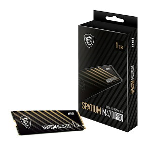 MSI SPATIUM M470 Pro PCIe 4.0 NVMe M.2 1TB [����SSD]