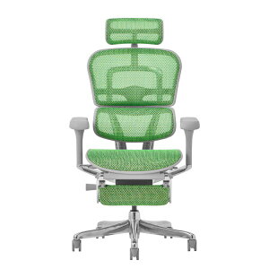 �։Ƌ� 507922 EHP2-LPL-5D-DR-GF-GN �O���[�t���[��/�O���[�����b�V�� Pro2 Ottoman [�I�t�B�X�`�F�A] ���[�J�[����
